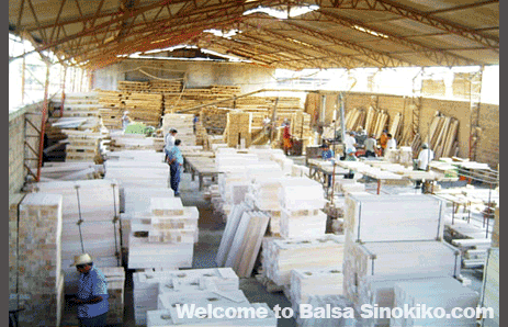 <!-- Balsa Wood - Suppliers Balsa Piece,Balsa Tree,Dry Block,Balsa Wood Gliders.China -->